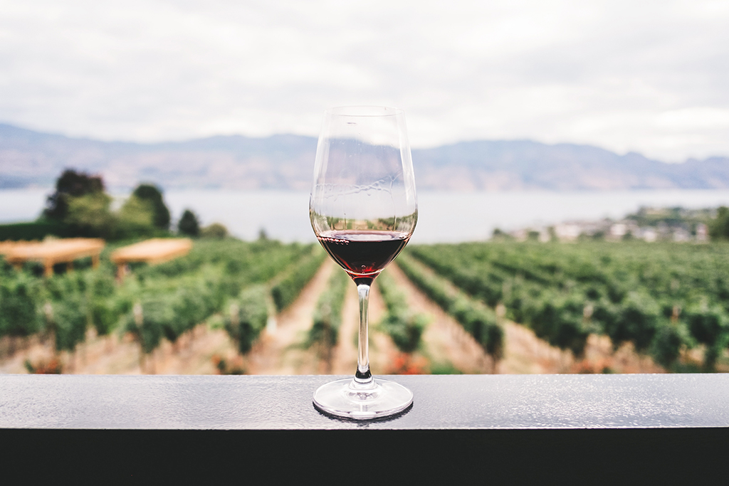 photo of a glass of wine on a balcony with grape vines and mountains behind